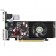 Placa de Vídeo Point Of View GeForce GT 210 - 1GB 64-bits DDR2 - PCI Express 2.0